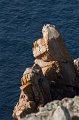 0083 Baie des Trepasses